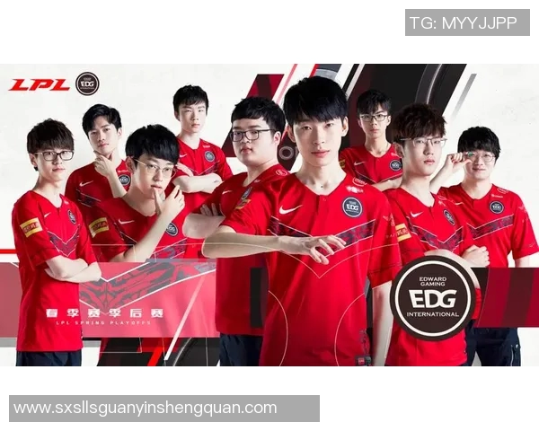 武汉排球队与南京排球队的赛后复盘分析团队协作的成功与不足之处