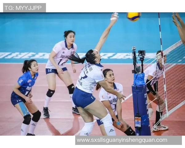 深圳排球队技术争议引发热议球迷与专家观点碰撞激烈